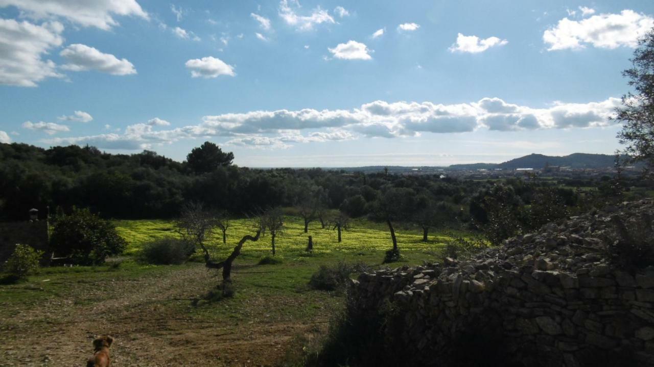 Sa Comella Porreres Exterior foto